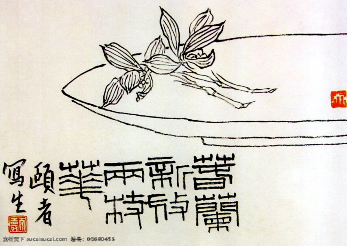 墨兰 潘天寿国画 传统国画 古画 水墨画 设计素材 兰花专辑 中国画篇 书画美术 白色