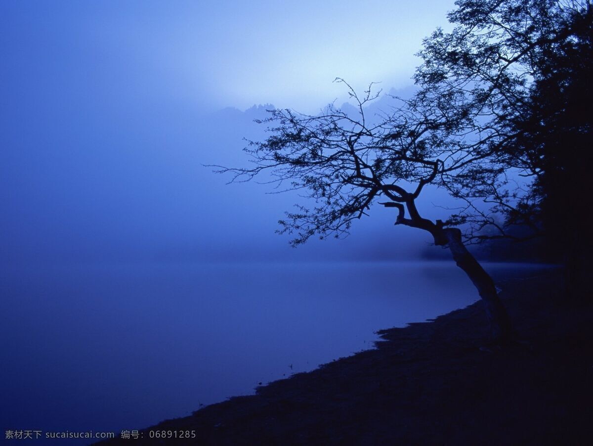 树木夜景 风景 风景背景 风景画 风景素材 风景图 河流 河流风景 湖泊 湖景 湖面 夜景 夜景照 景色 景色背景 景观 景物 景观设计 景点 自然 自然风景 自然景观 自然风光 自然景色 山水 山峰 山水风景 山水背景 山水风光 蓝天白云 蓝天草地 瀑布 瀑布风景 树木 花 花朵 花纹背景 花瓣 花草 湖水风景 湖畔 溪 溪流 溪水 家居装饰素材 山水风景画