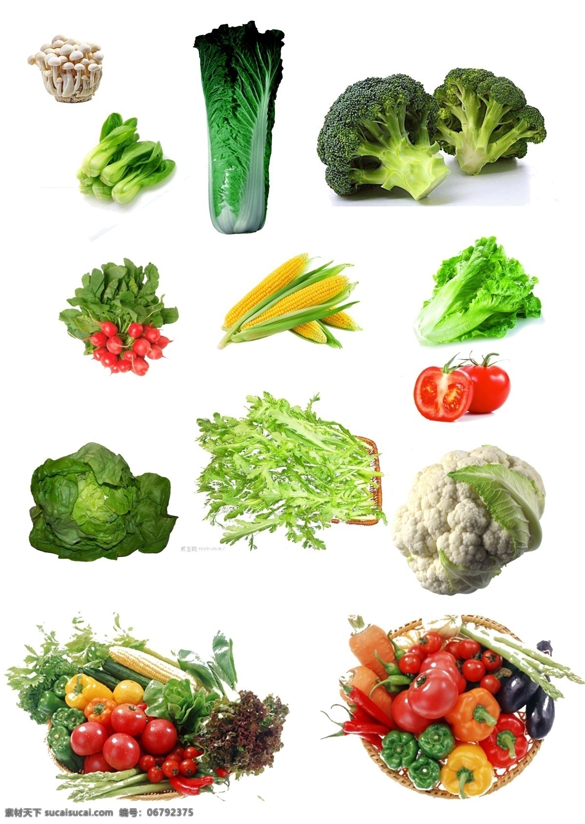 健康蔬菜 新鲜蔬菜 时令蔬菜 有机蔬菜 蔬菜
