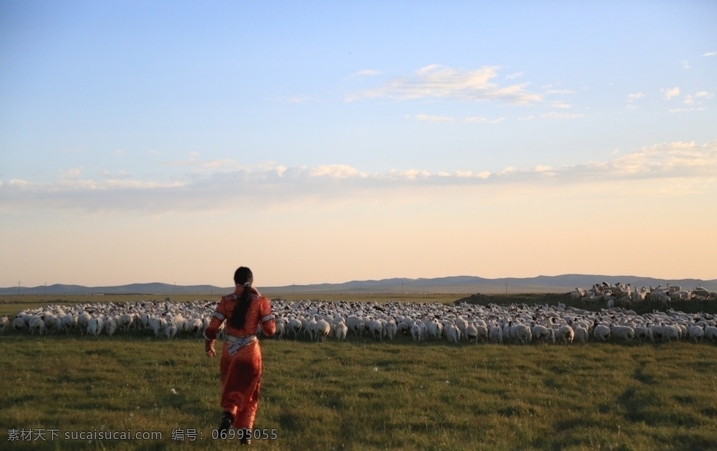 乌珠穆沁羊 内蒙大草原 夕阳 乌珠穆沁 羊 内蒙 大草原 牧羊人 旅游摄影 国内旅游