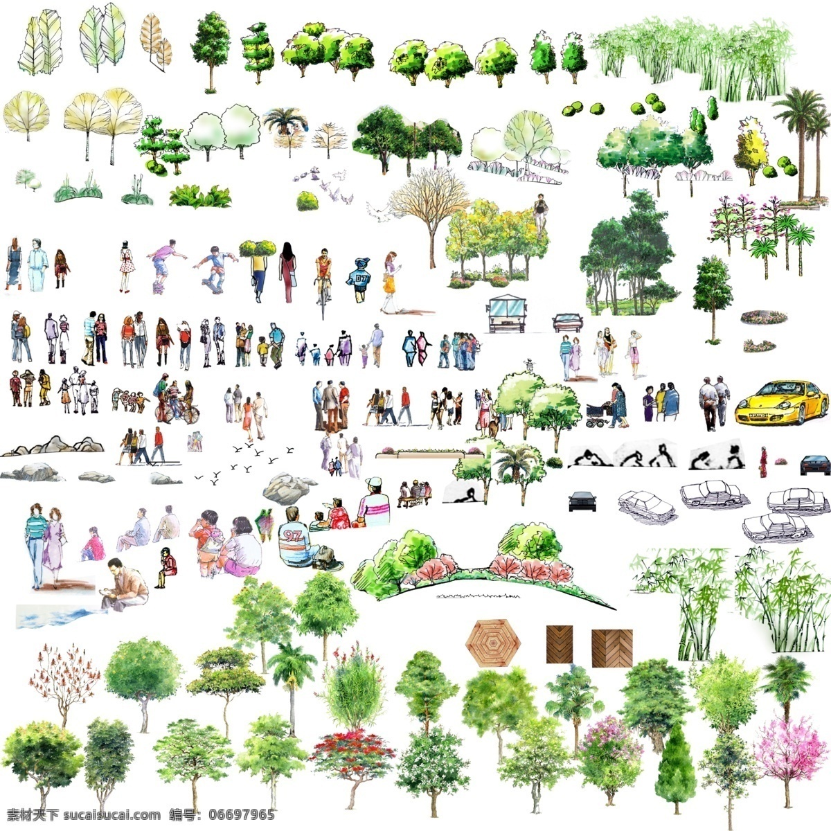 园林植物素材 园林植物 园林 植物 树木 树 树木树叶 生物世界 园林素材 环境设计 景观设计 白色