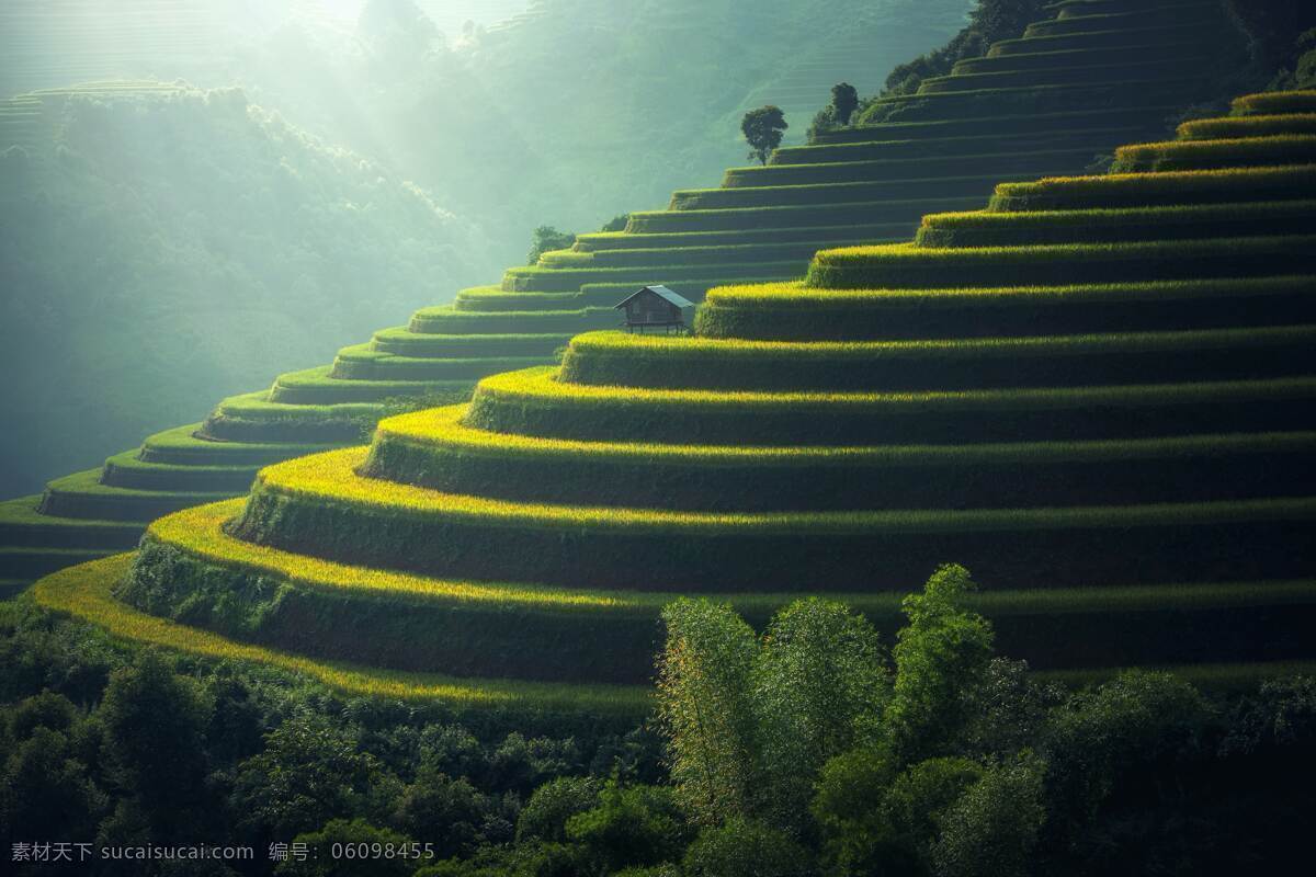 梯田 绿色 树木 草 房子 自然景观 自然风景