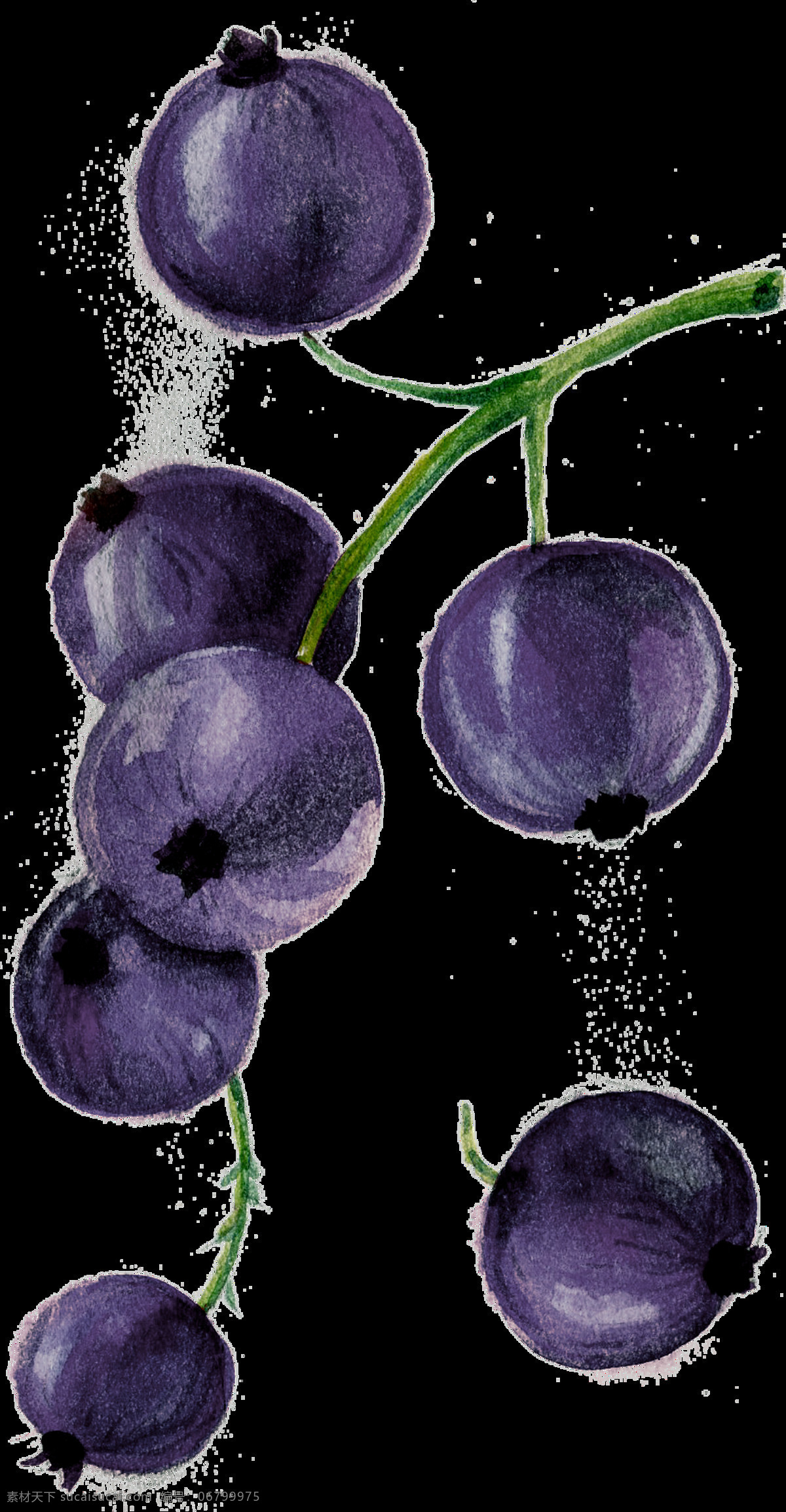 蓝莓 卡通 透明 水果 抠图专用 装饰 设计素材