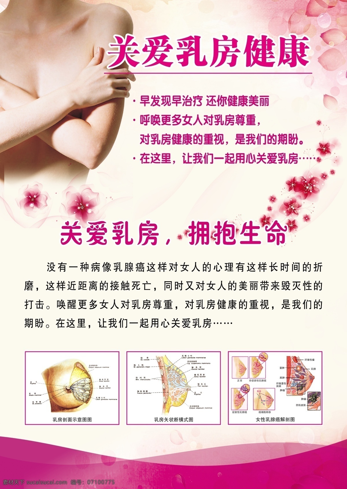 关爱乳房健康 关爱女性 背景 模版 粉色 展板 海报 分层