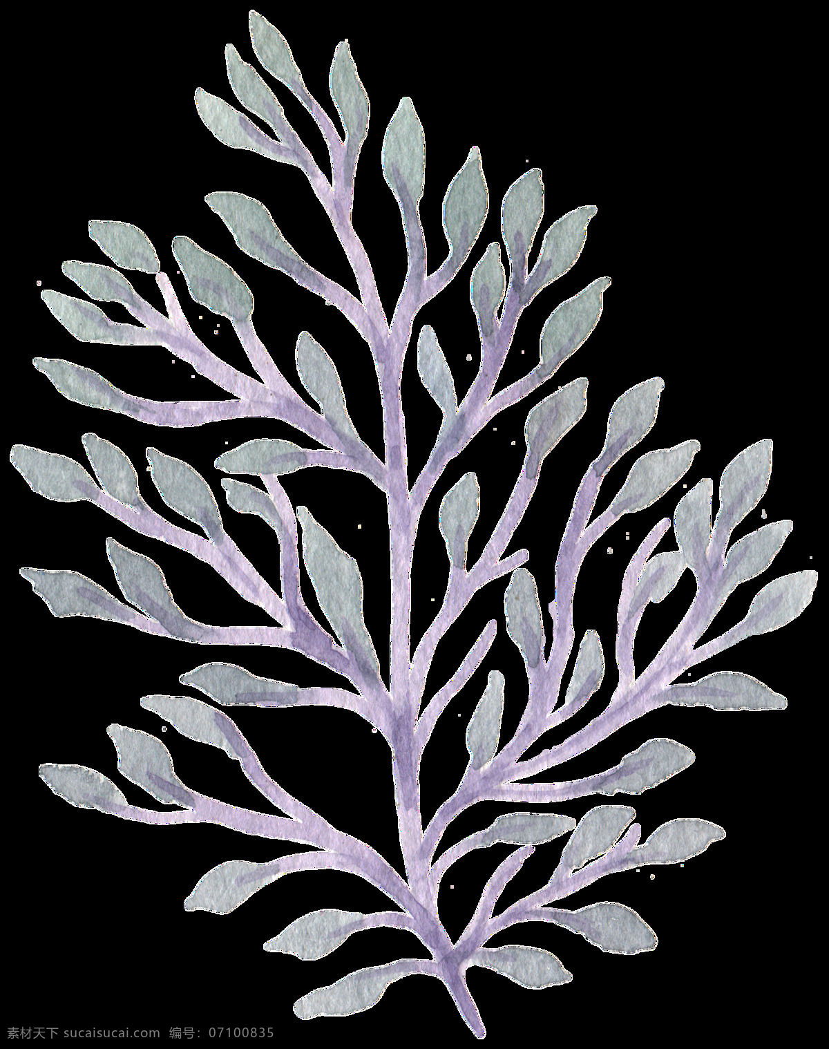 姹 紫 树枝 卡通 透明 装饰 枝叶 茂盛 透明素材 免扣素材 装饰图案