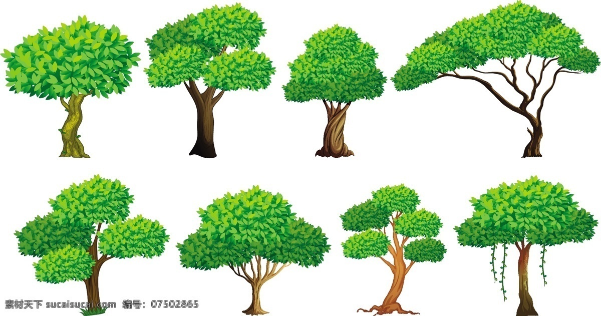 许多树的插图 花卉 自然 森林 树叶 装饰 绘画 树木 插图 藤 枝 集 许多