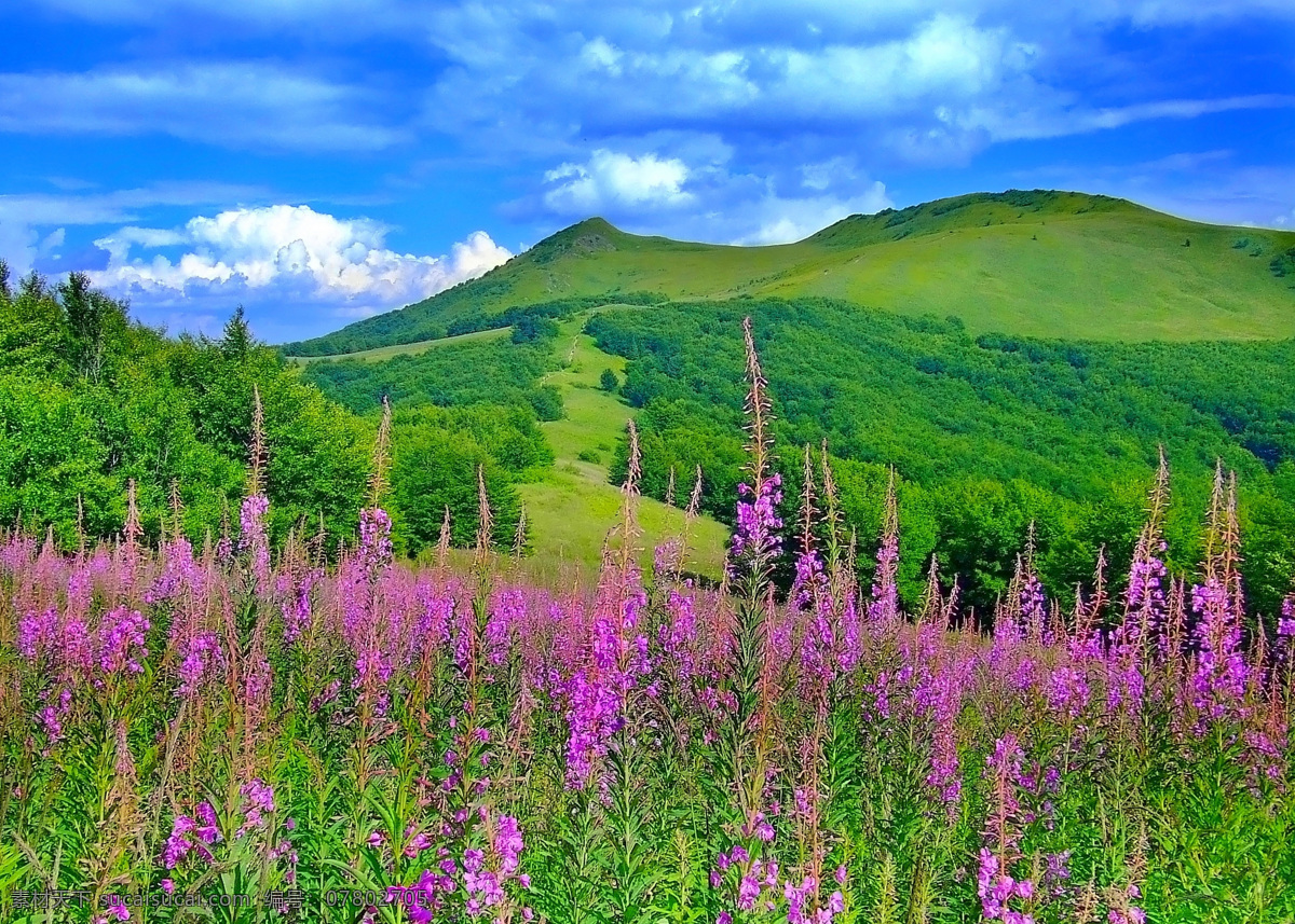 野花 远山 蓝天白云 山林 绿树 绿色 环保 花海 绿山 草地 青草 太阳 花朵 原野 鲜花 自然 蓝天 白云 阳光 美丽大自然 背景 背景素材 生态环境 自然风景 自然景观 自然风景系 自然风景系列