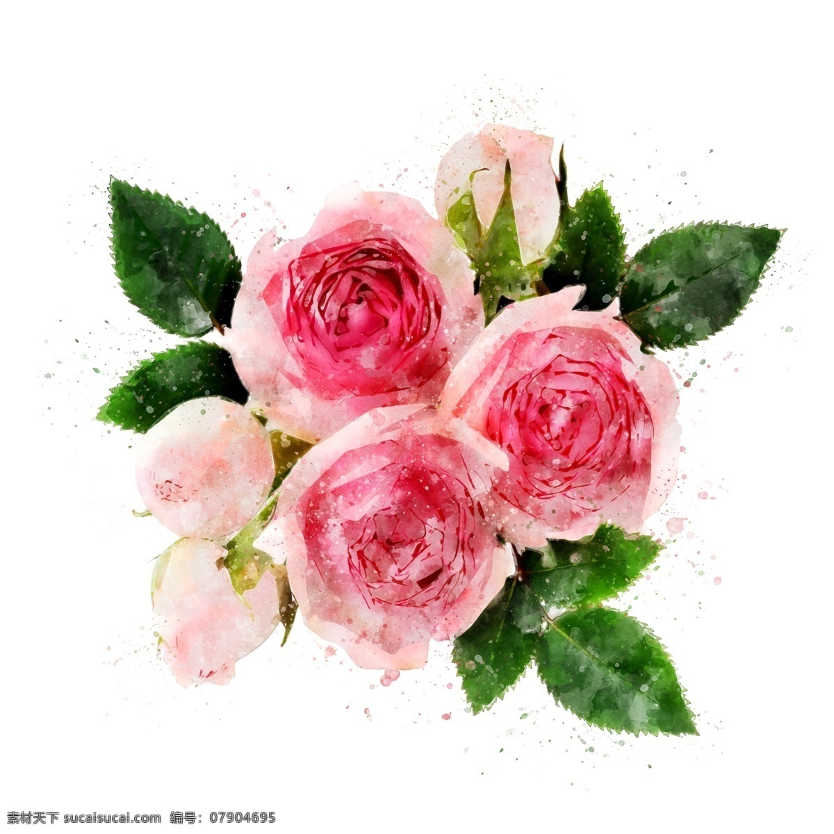 手绘 粉色 玫瑰花 元素 花卉 绿叶 花朵 原创 一簇玫瑰 水彩 花卉元素