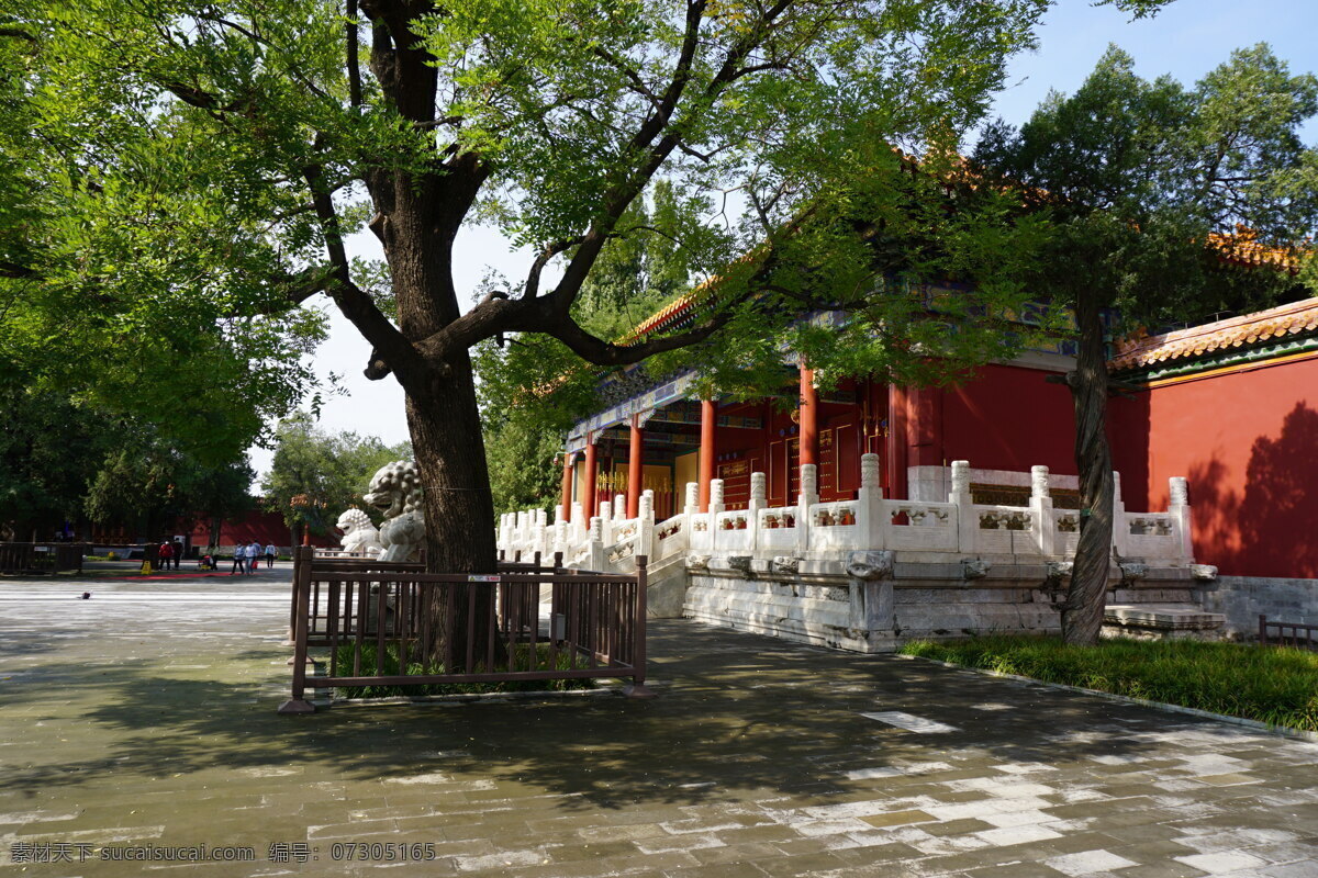 景山公园 寿皇 殿 北京 旅游 寿皇殿 树木 传统建筑 古代建筑 历史文化古迹 旅游摄影 国内旅游