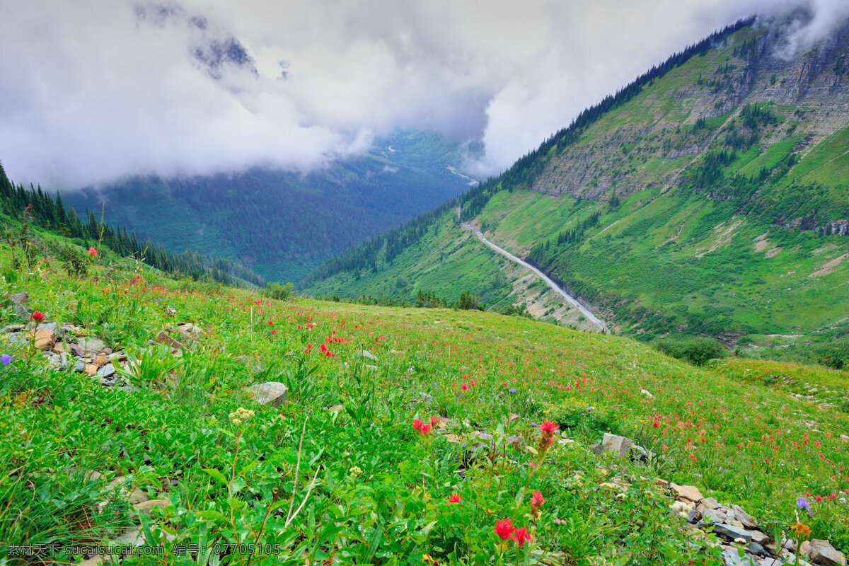 美丽 高原 云雾 风景 云雾缭绕 草原风景 草地风景 美丽风景 风景摄影 美丽景色 自然风光 陆地动物 生物世界