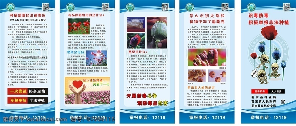 禁种铲毒 毒品 蓝色背景 种植 罂粟 禁毒宣传 室内广告设计