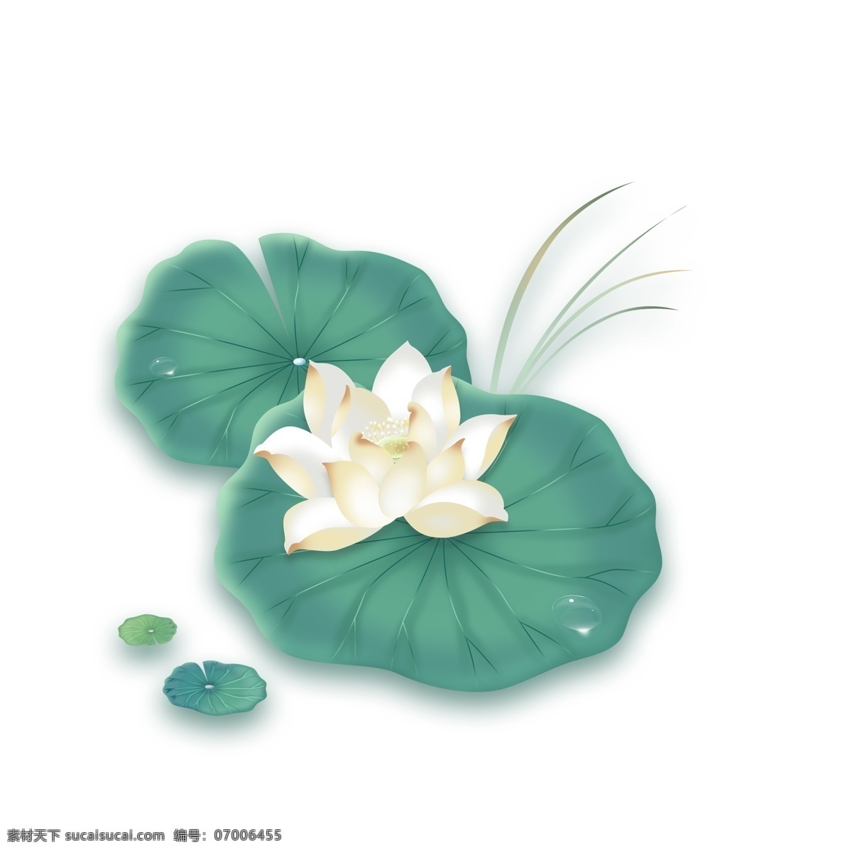 手绘 水彩 荷塘 里 荷花 元素 白色荷花 荷叶 元素设计 装饰图案 彩色元素 卡通元素 可爱元素