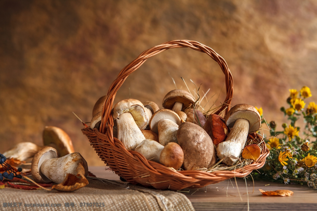 篮子 香菇 磨菇 食物原料 食材原料 餐饮美食 美食摄影