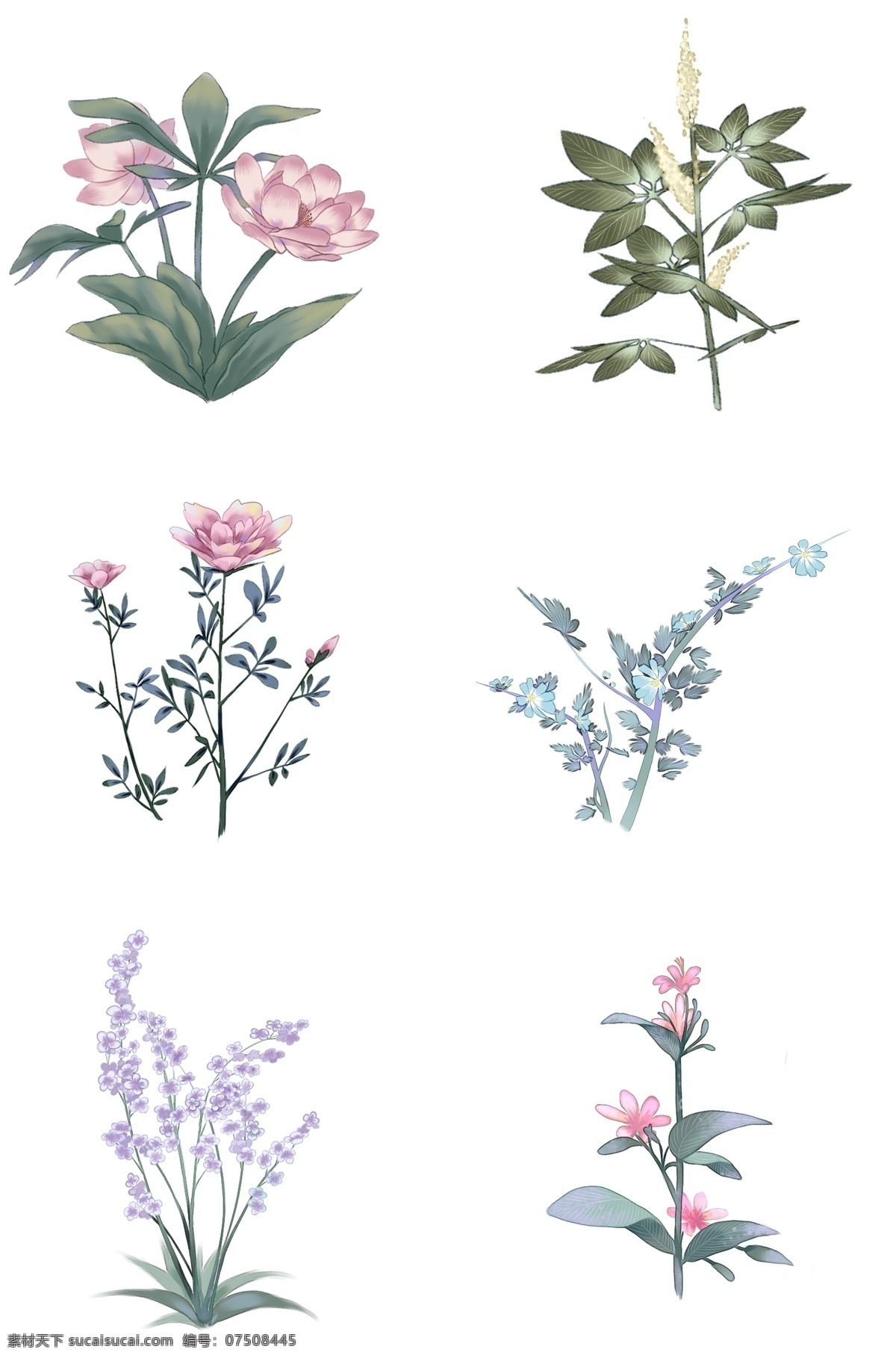 中国 古风 手绘 花卉 花 花草 草 卡通 中国风 古风花草 古风花卉 国风 植物 鲜花 叶子 荷花 鲁冰花 树枝 丁香花 兰花