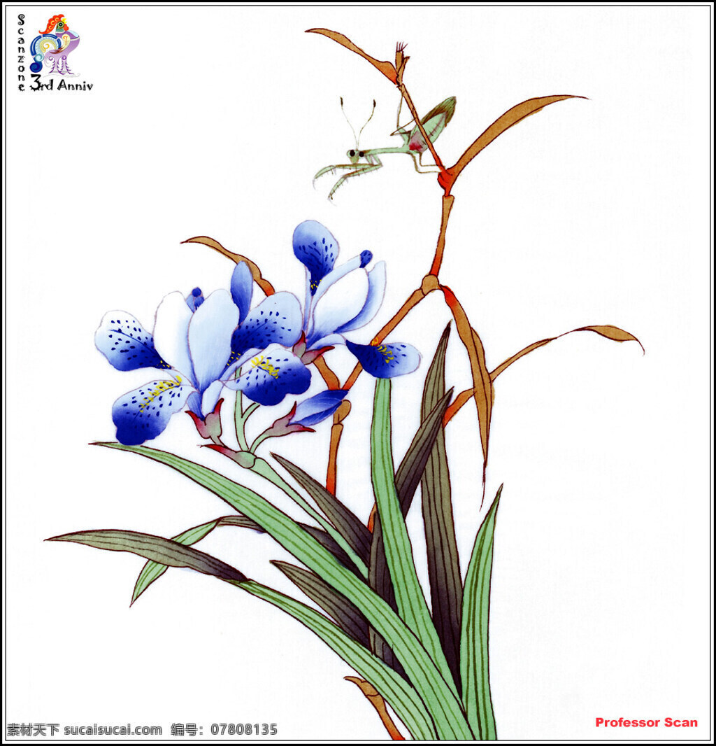国画 兰花 螳螂 绘画书法 文化艺术