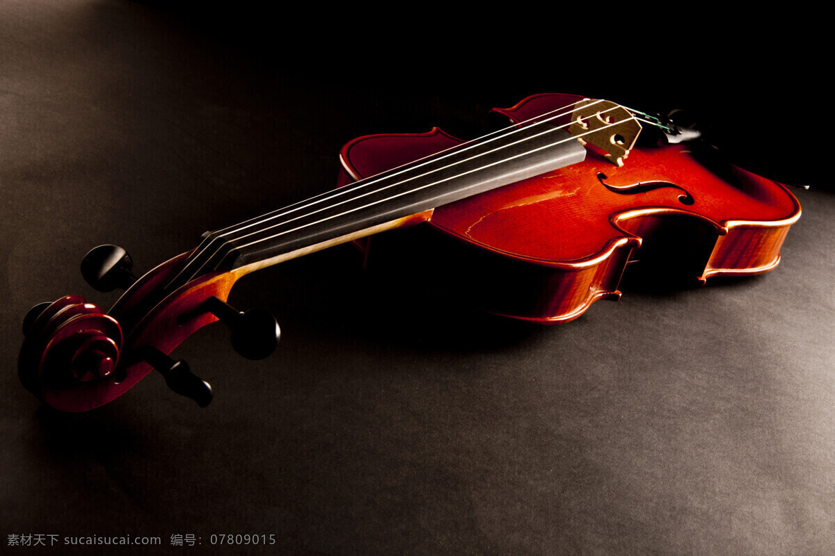 小提琴 音乐器材 乐器 弦乐器 西洋乐器 影音娱乐 生活百科