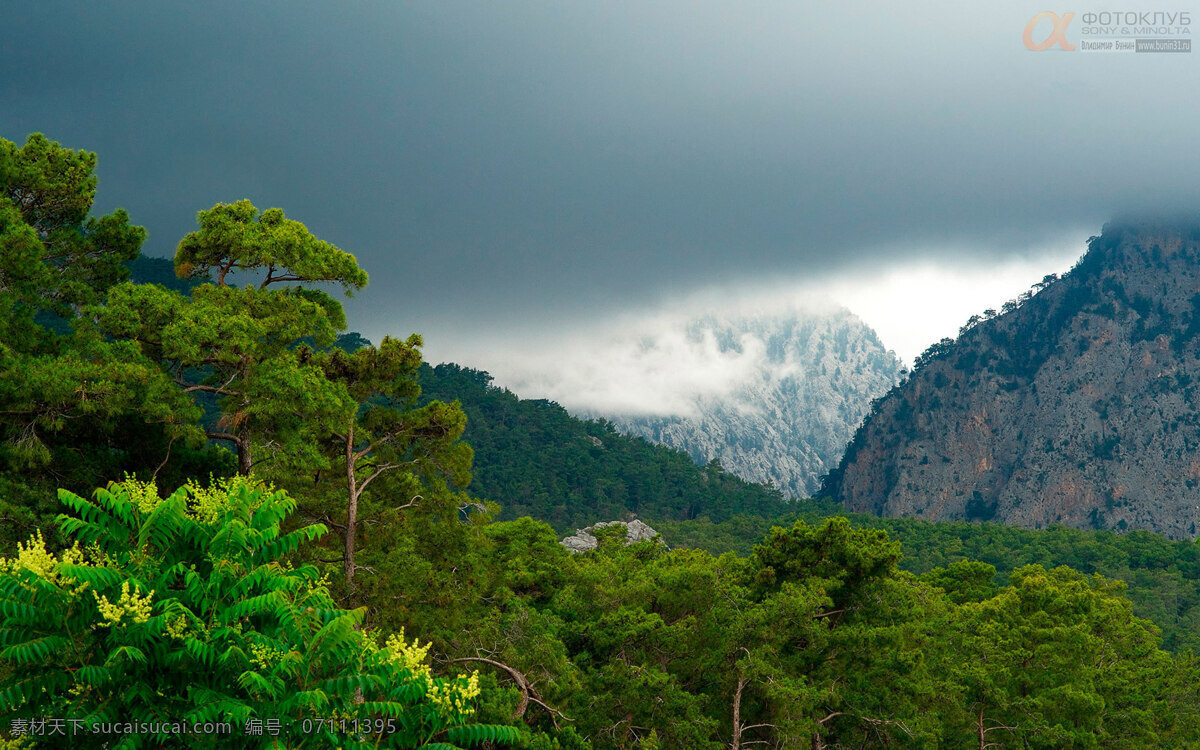 大自然风景 风景 旅游摄影 山水风景 自然风光 自然风景 自然风景画 武夷山 风景图片 武夷山风景 优美自然风景 自然景观 自然风景图 装饰素材 山水风景画