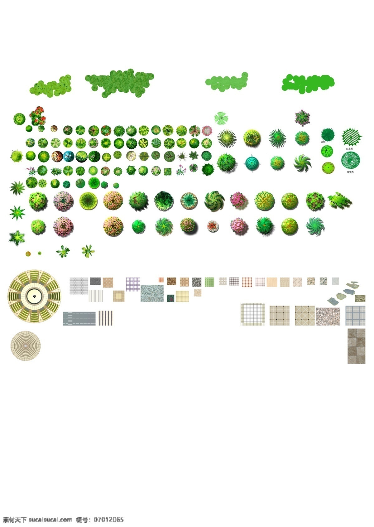 园林植物素材 绘图 ps 园林 植物 树木素材 平面图 园林植物 分层 源文件