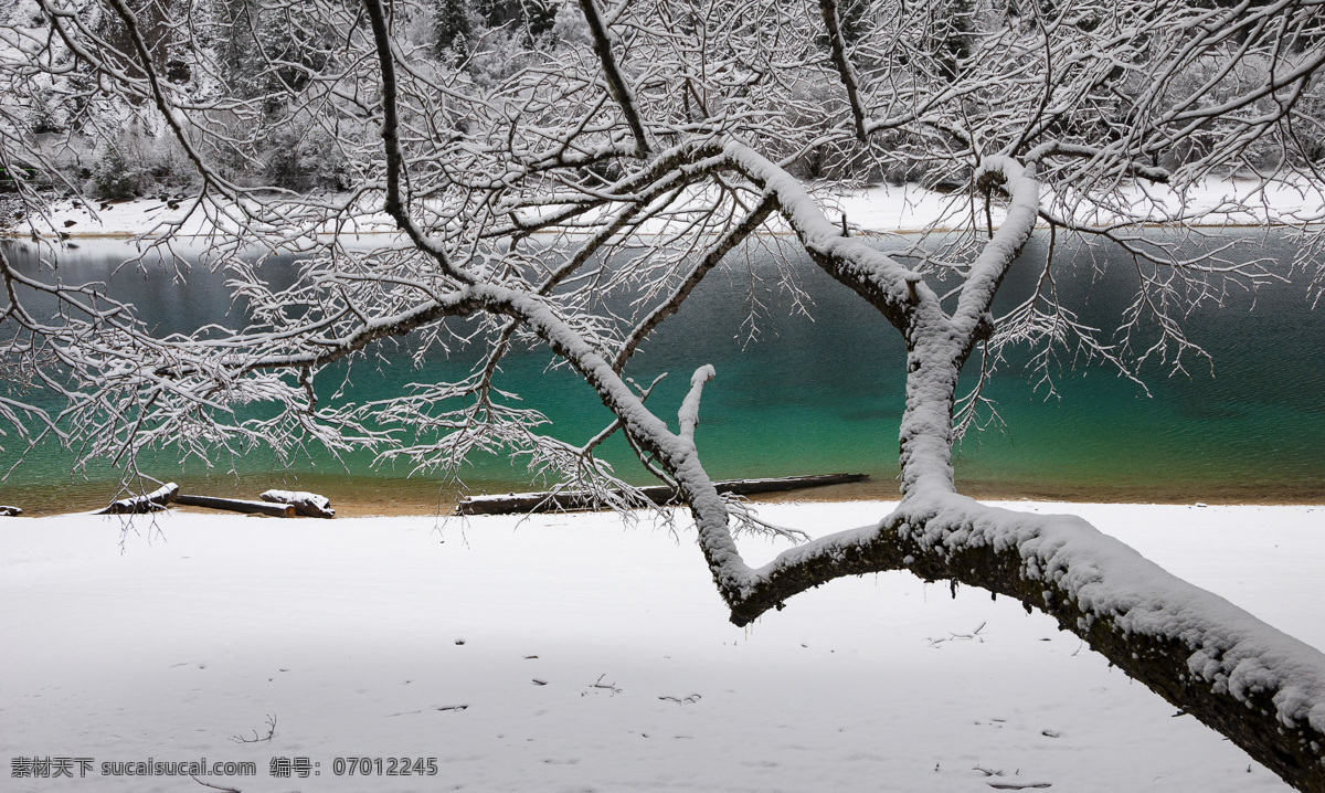 九寨沟熊猫海 中国 四川 九寨沟 熊猫海 瀑布 雾凇 雪景 冬雪 海子 湖泊 高原 神奇的九寨 自驾游 旅游 旅行 徒步 蓝色 树 彩色 红叶 绿叶 山清水秀 诺日朗群海 仙境 梦幻 童话世界 旅游摄影 国内旅游