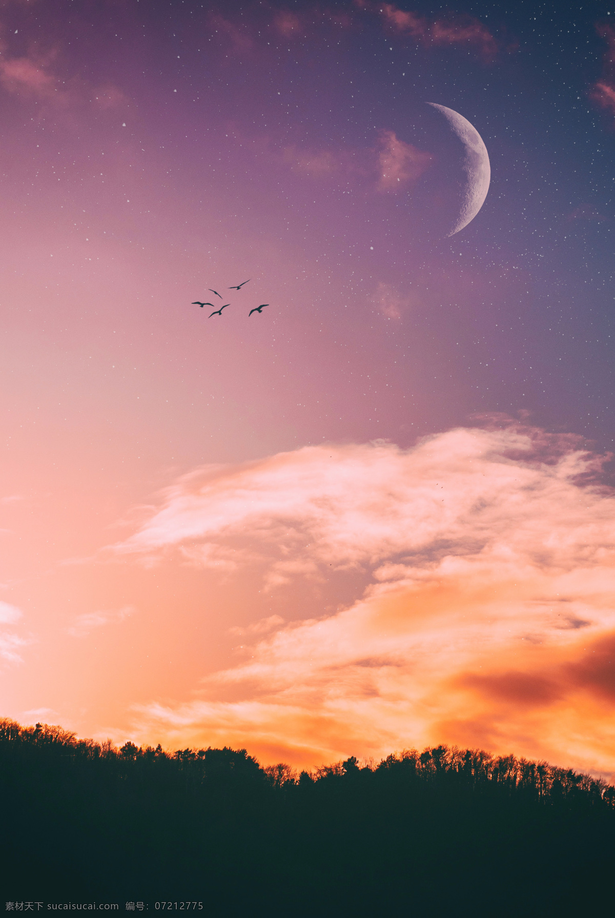 天空 星空 云 云彩 星星 白云蓝天 植物 城市 建筑傍晚 黄昏 黑夜 夜空 山 紫色 河流 夕阳 阳光 太阳 自然景观 自然风景