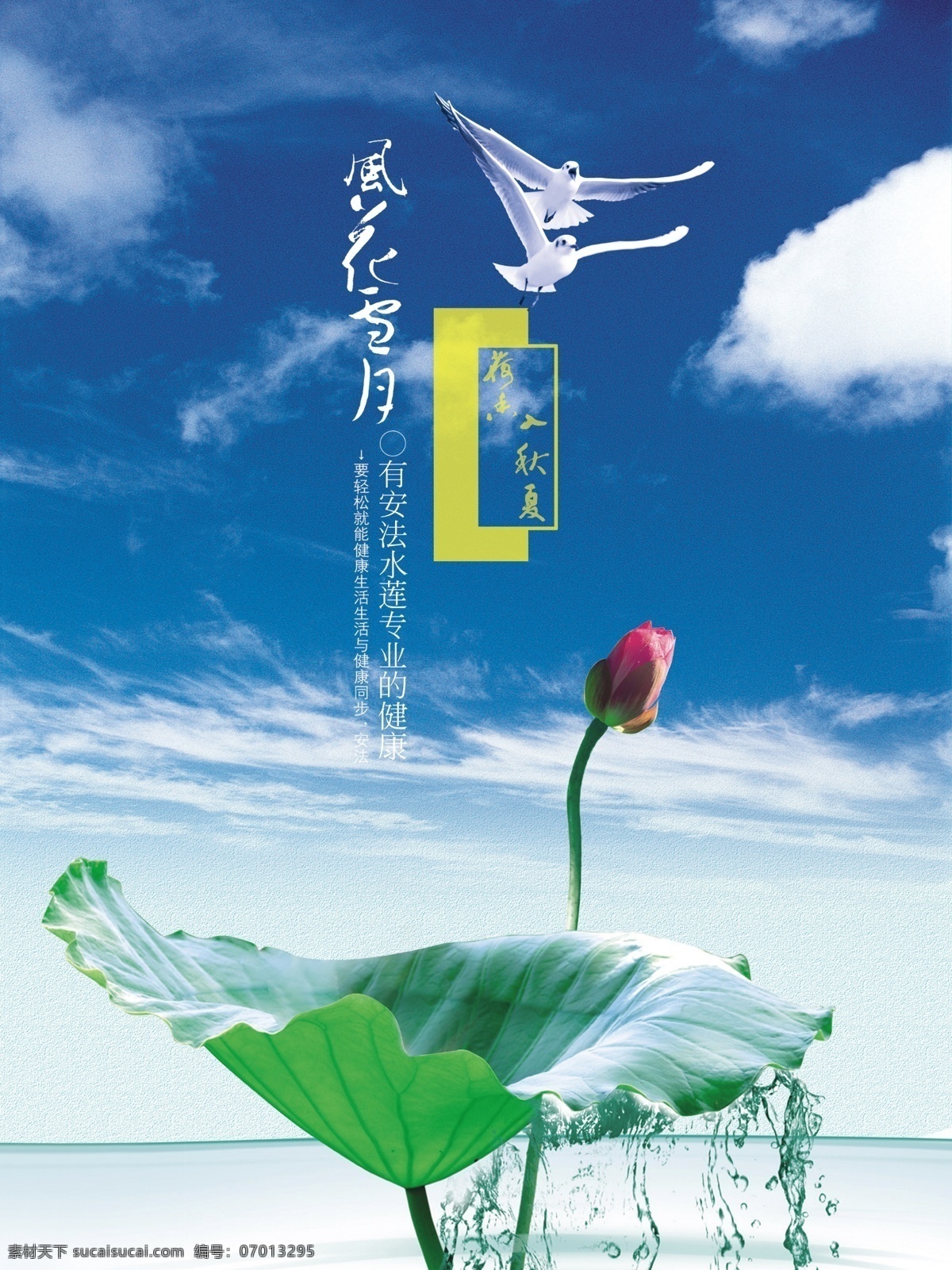 风花雪月 荷叶荷花 设计素材 设计图库 自然景观 psd源文件