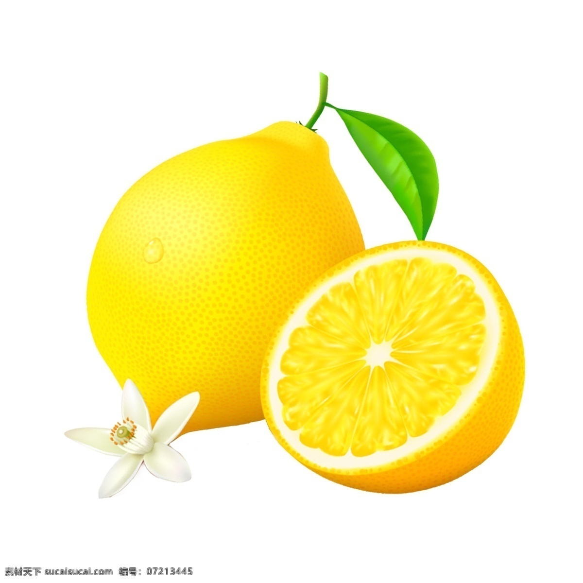 漂亮 黄色 橙子 白花 绿叶 装饰素材