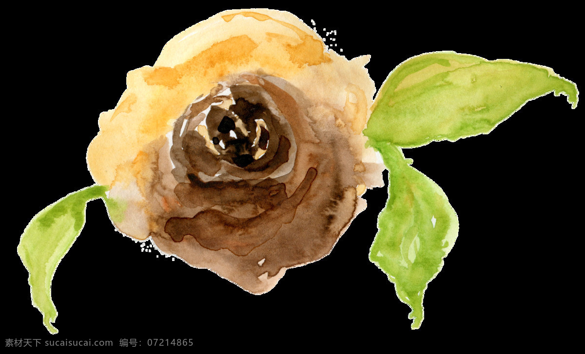 韭黄 花蕊 透明 装饰 花朵 黄色 免扣素材 透明素材 装饰图案