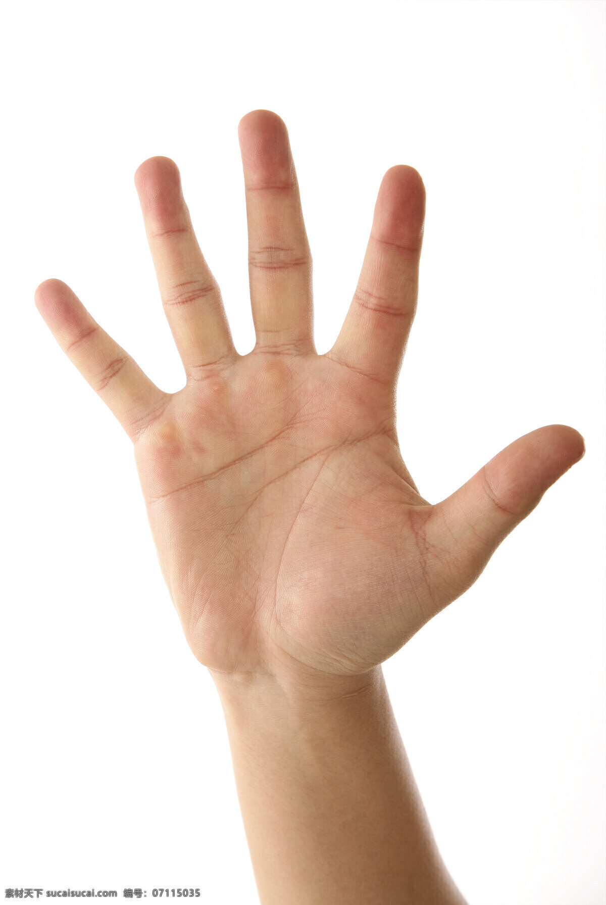 手掌 手势 手 五指 手语 摄影图 高清图片 人体器官图 人物图片