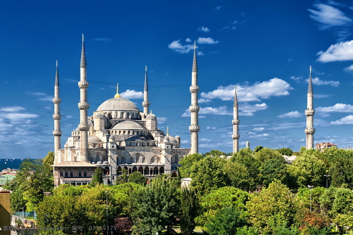 美丽 蓝色 清真寺 风景 蓝色清真寺 伊斯坦布尔 土耳其风光 土耳其 旅游景点 美丽风景 美丽景色 风景摄影 城市风光 环境家居