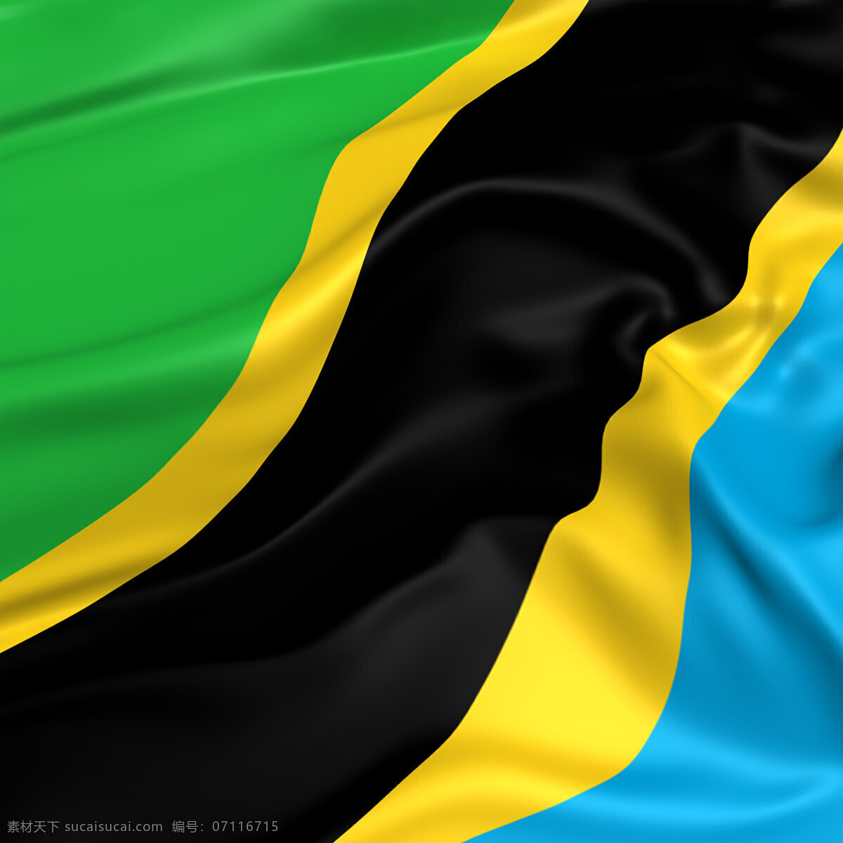 坦桑尼亚国旗 黑色