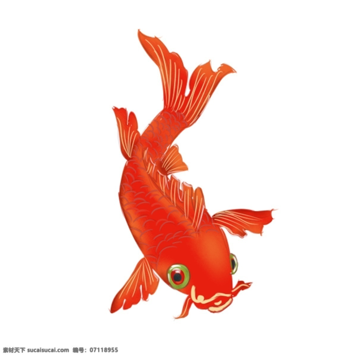 商用 红色 喜庆 中国 风 手绘 可爱 锦鲤 装饰 图案 中国风 鲤鱼 可商用 金鱼 装饰图案 免抠