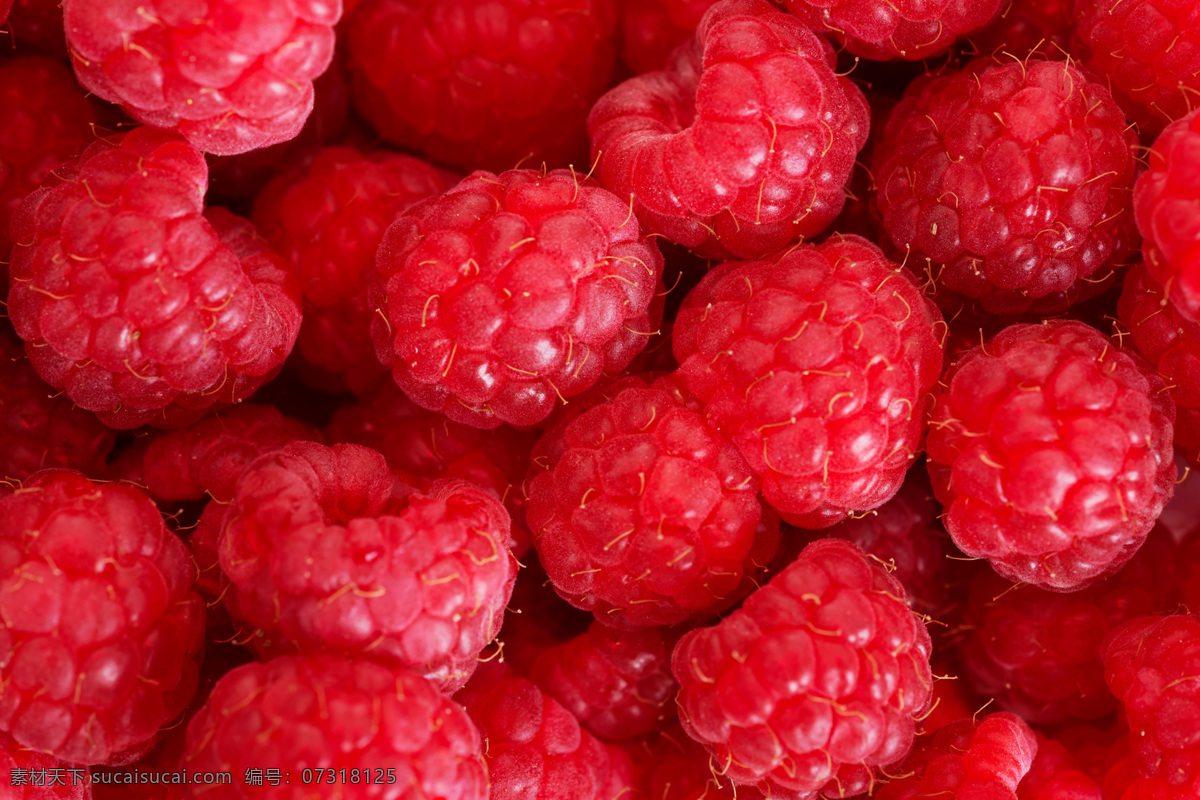 新鲜 覆盆子 背景 树莓 新鲜树莓 野果 新鲜水果 水果蔬菜 餐饮美食 红色