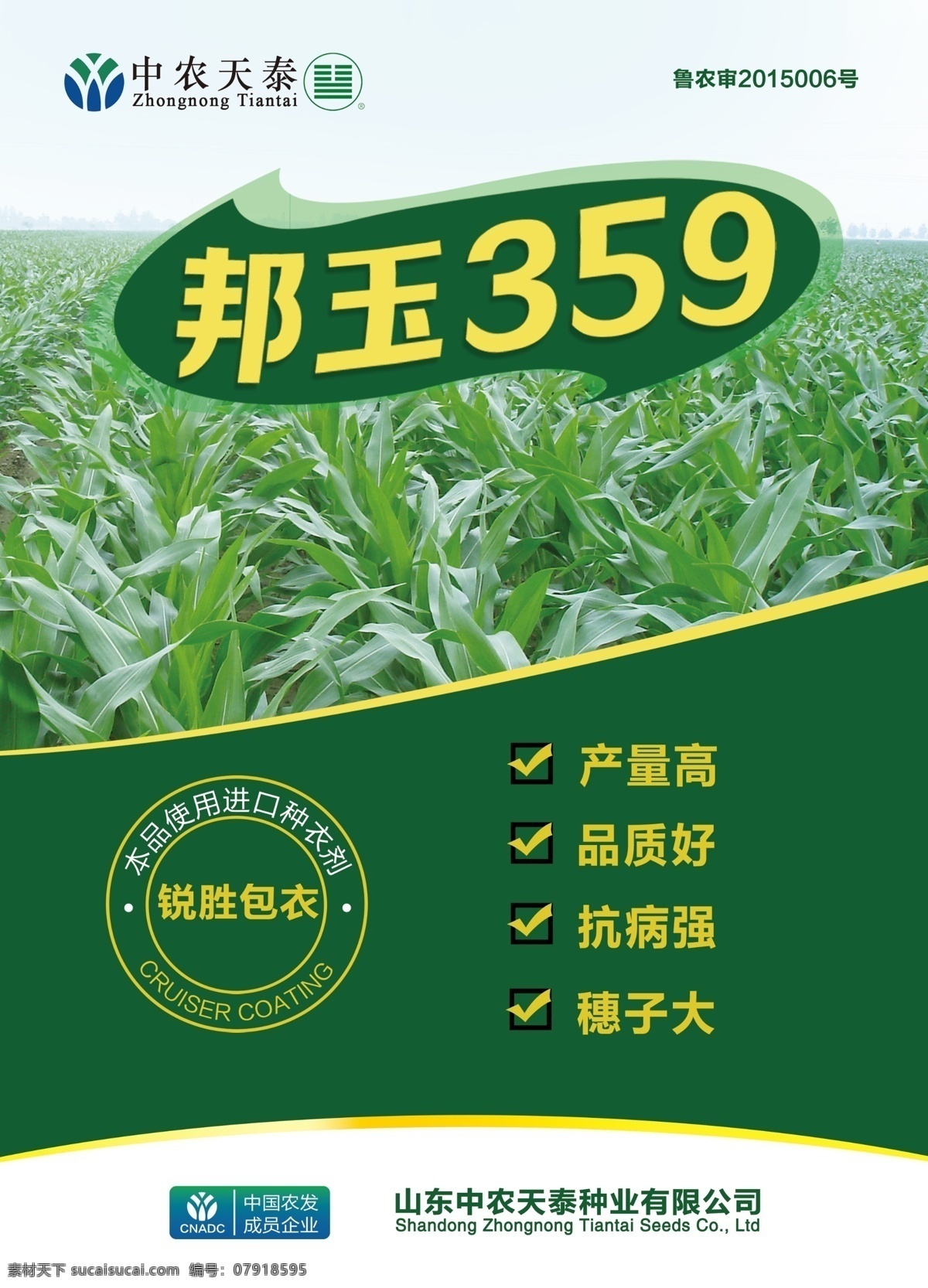 天泰宣传单 中农天泰 天泰dm单 玉米种子 玉米苗 白色