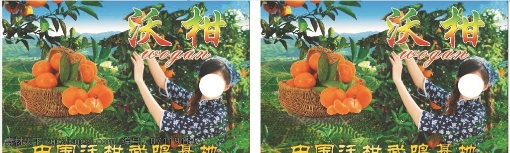 沃柑 柑橘 橘子 单页 水果 果 dm宣传单
