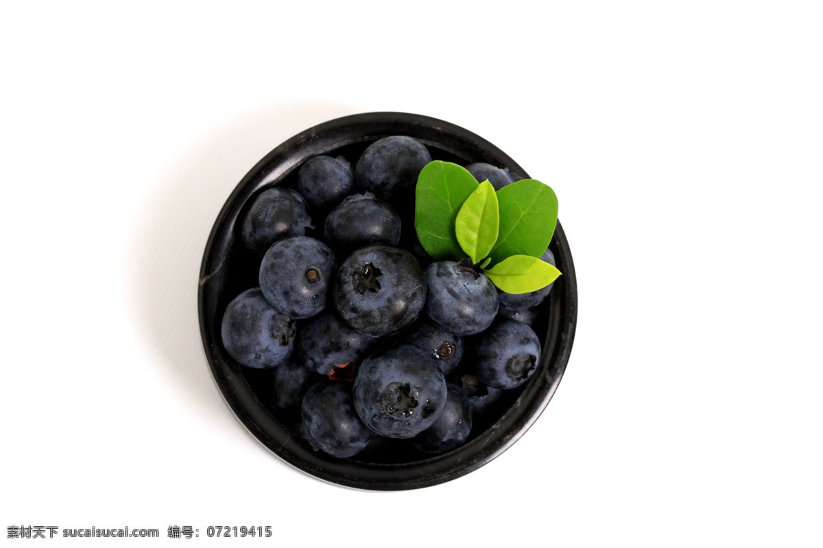 蓝莓 新鲜蓝莓 蓝莓酒 甜蓝莓 蓝莓果肉 蓝莓汁 进口蓝莓 水果 新鲜水果 水果蔬菜 超市水果 蓝莓批发 水果批发 生物世界