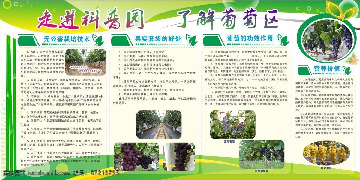 走进 科普 园 葡萄 园区 简介 葡萄展板背景 葡萄知识 葡萄园简介 葡萄介绍 葡萄科普园