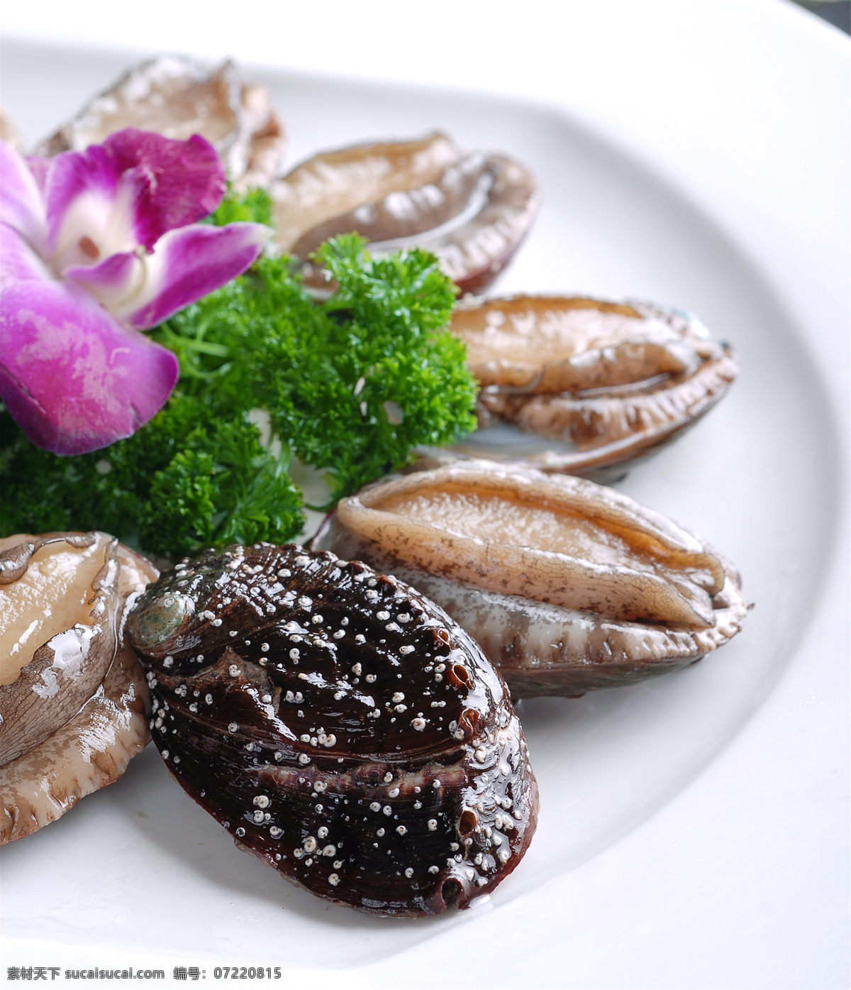 海鲜鲍鱼仔 美食 传统美食 餐饮美食 高清菜谱用图