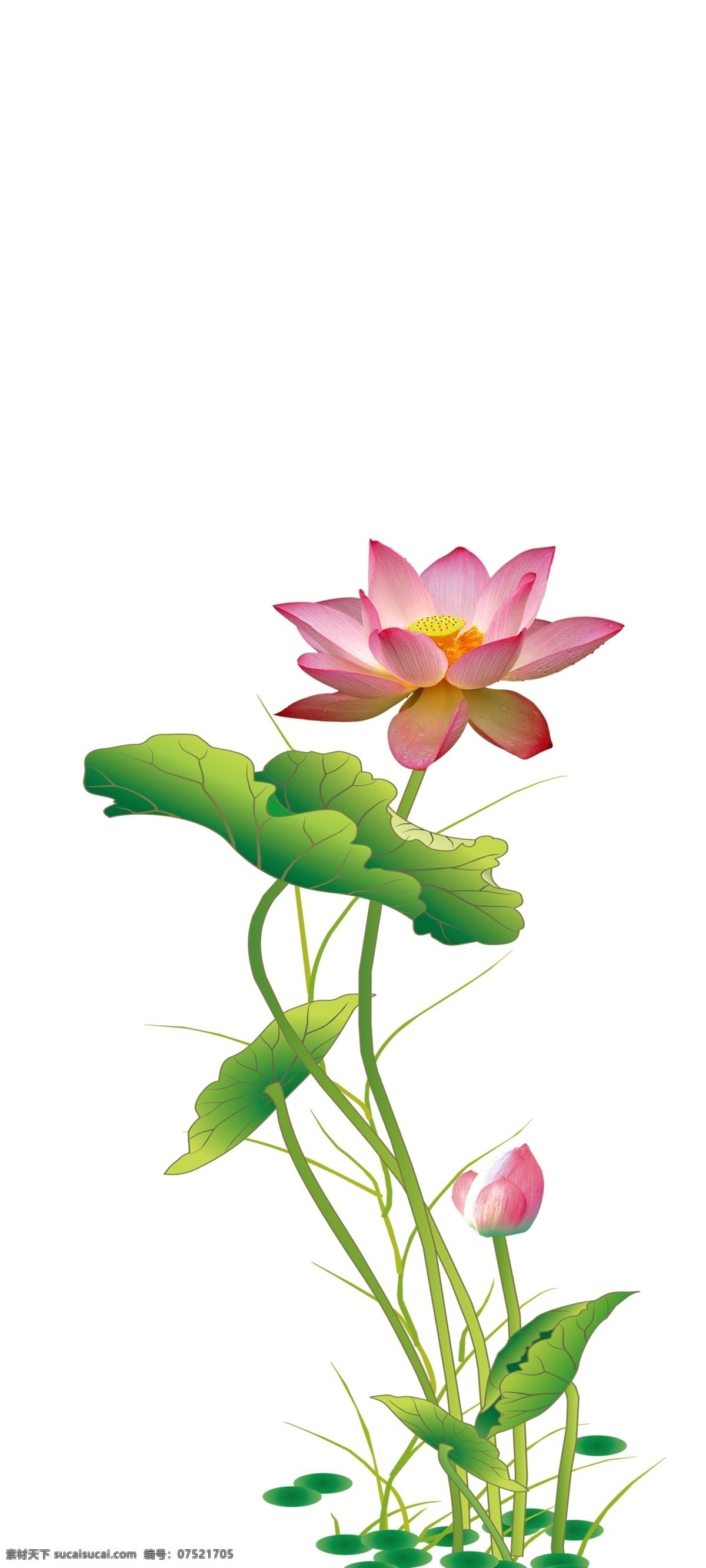 水墨 藤蔓 荷花 元素 水墨藤蔓荷花 手绘 泼墨 绿色 小清新 花藤 绿叶 缠绕的花藤