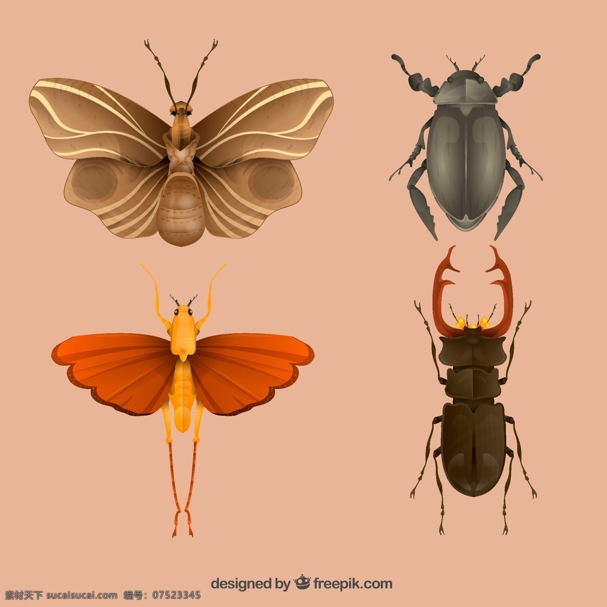 昆虫 巨陶锹甲 甲虫 蝴蝶 飞蛾 矢量图 平面素材 粉色