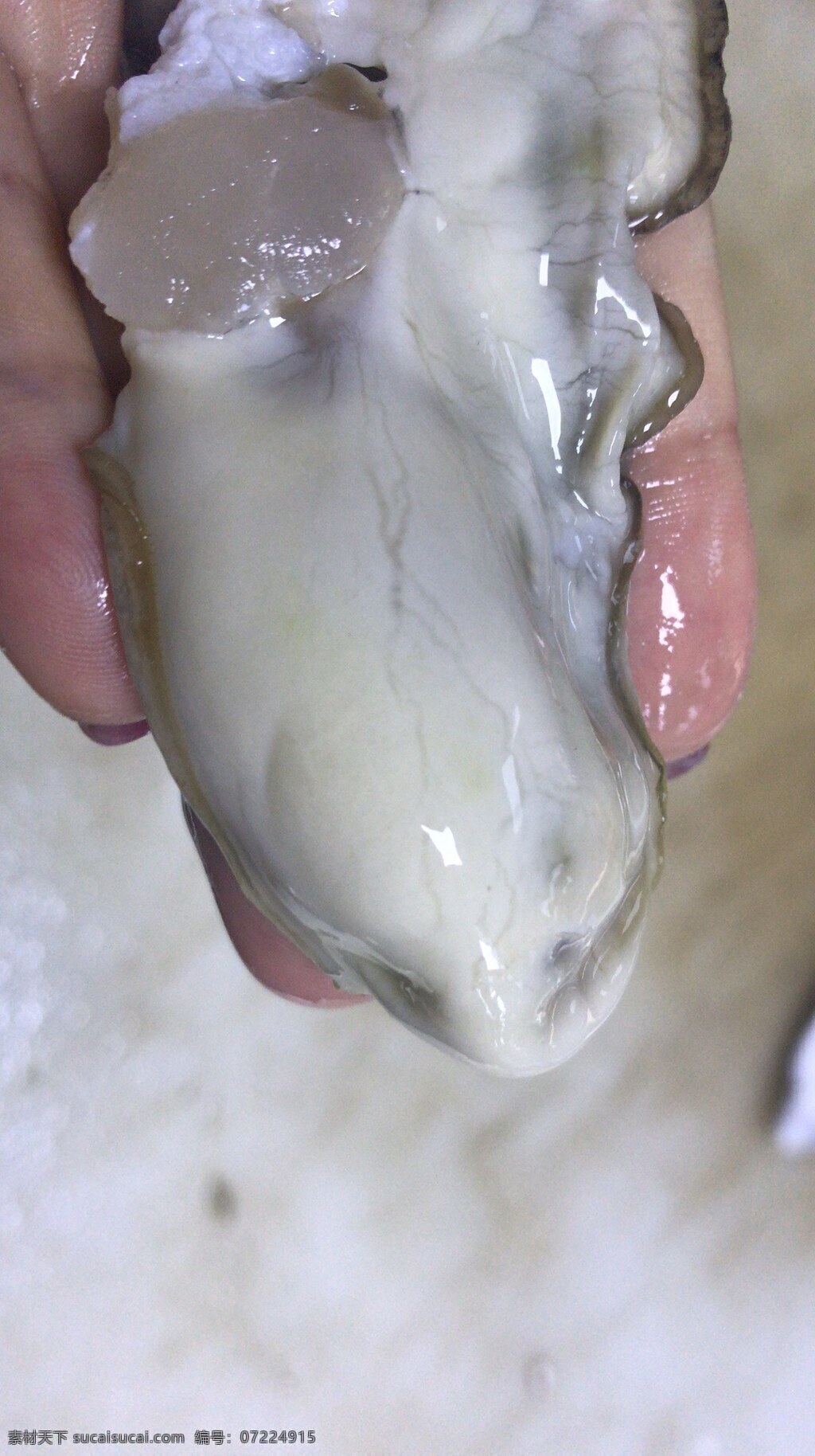 生蚝肉 生蚝 肥蚝 进口生蚝 海鲜 贝壳 餐饮美食 食物原料