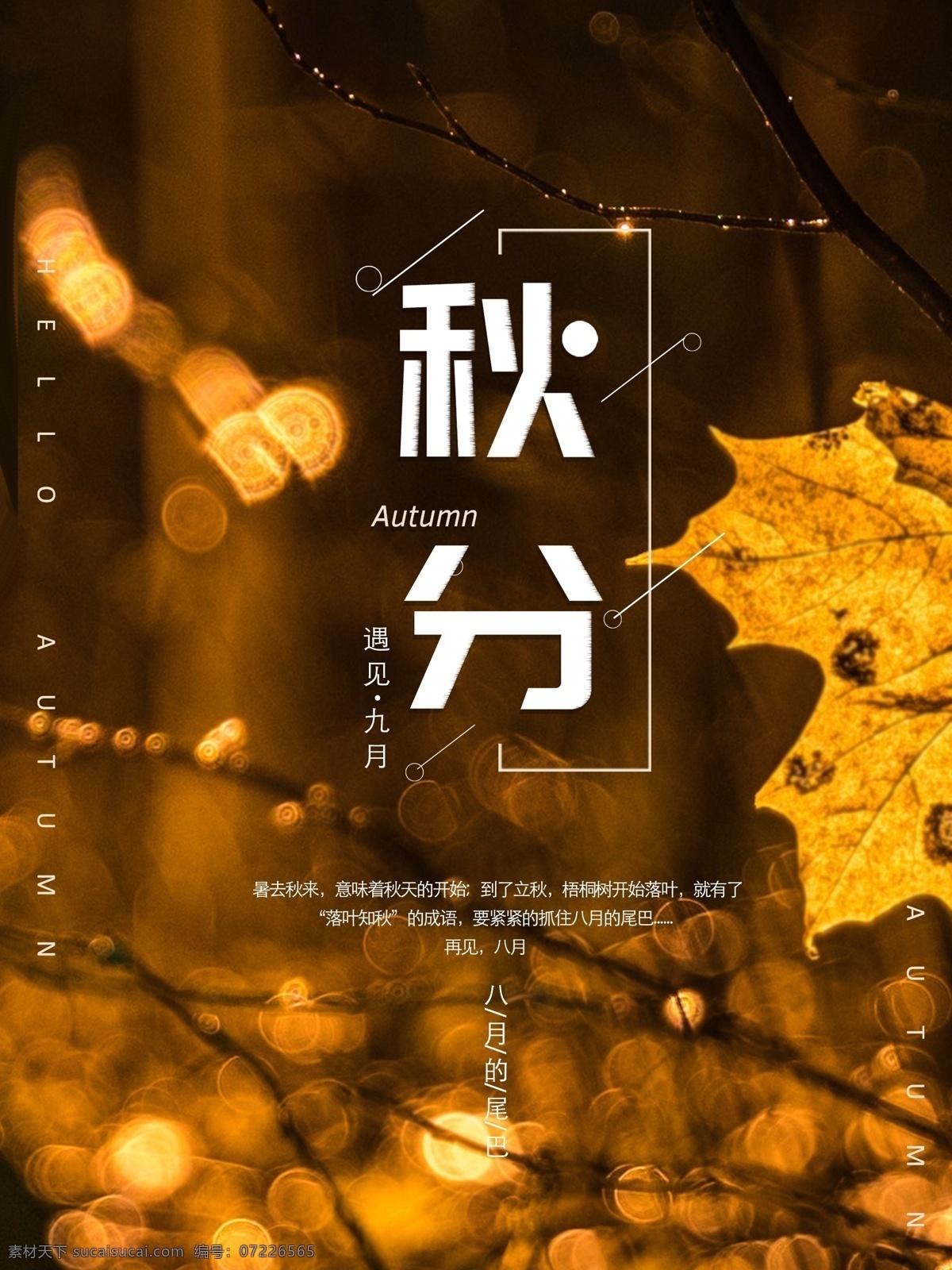 秋分 二十四节气 传统文化 秋天 节气由来 枫叶 海报
