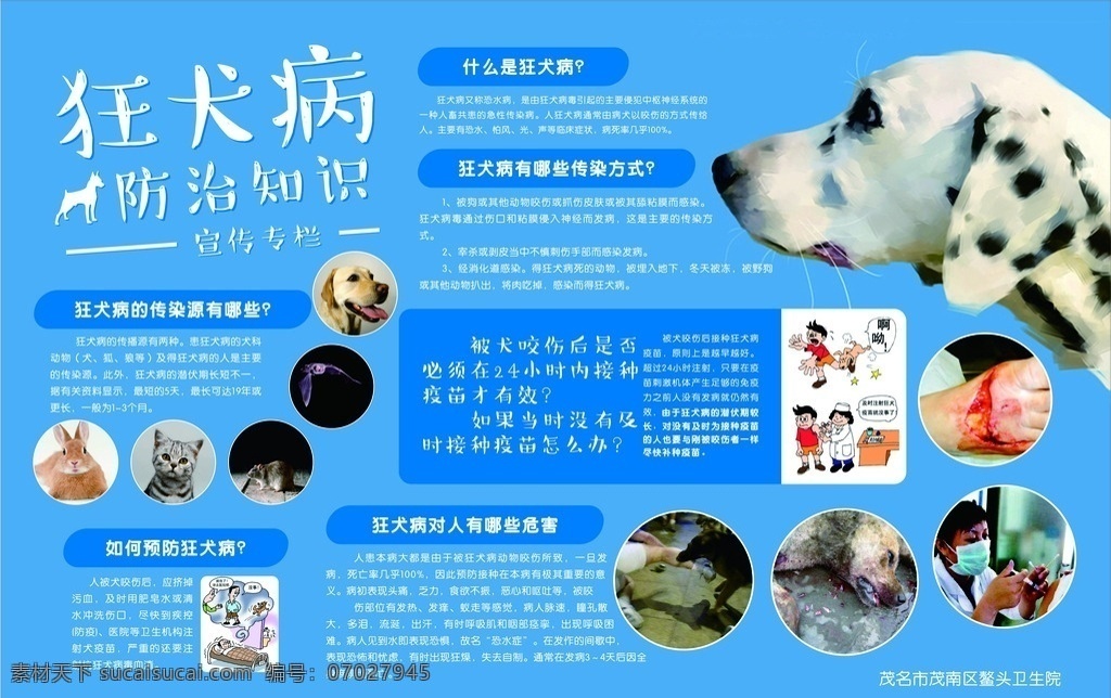 狂犬病 防治知识 蓝色 宣传 广告 简洁 专题展板