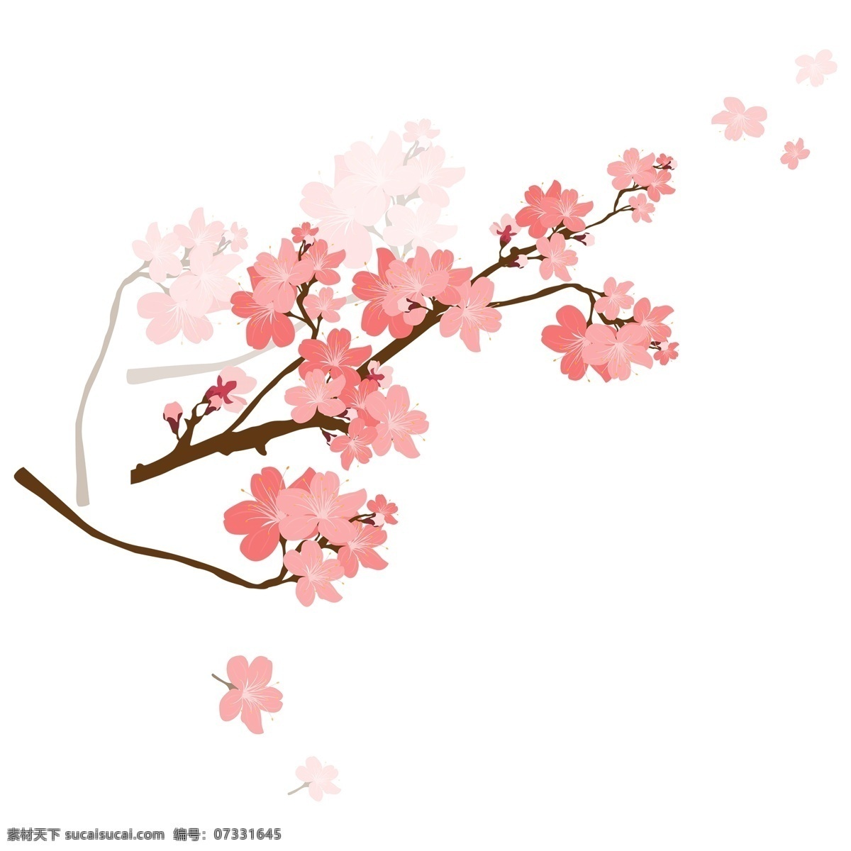 淡 粉色 花卉 手绘 透明 鲜花 装饰图案 透明素材 花枝 免扣素材