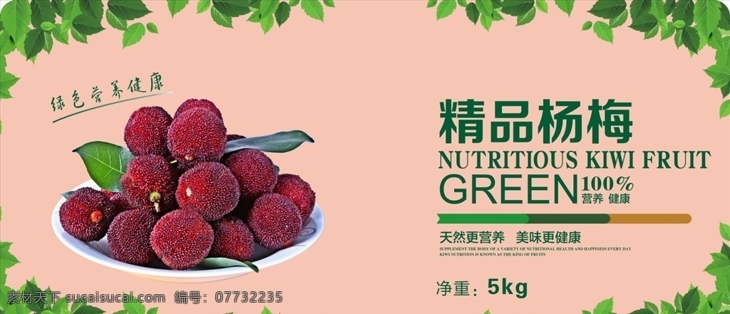 杨梅 精品杨梅 樱桃 精品樱桃 荔枝 精品荔枝 菠萝 水蜜桃 水密桃 桃 黄桃 树叶 精品水蜜桃 水果 水蜜桃标签 单 页 海报 折页 画册 生物世界