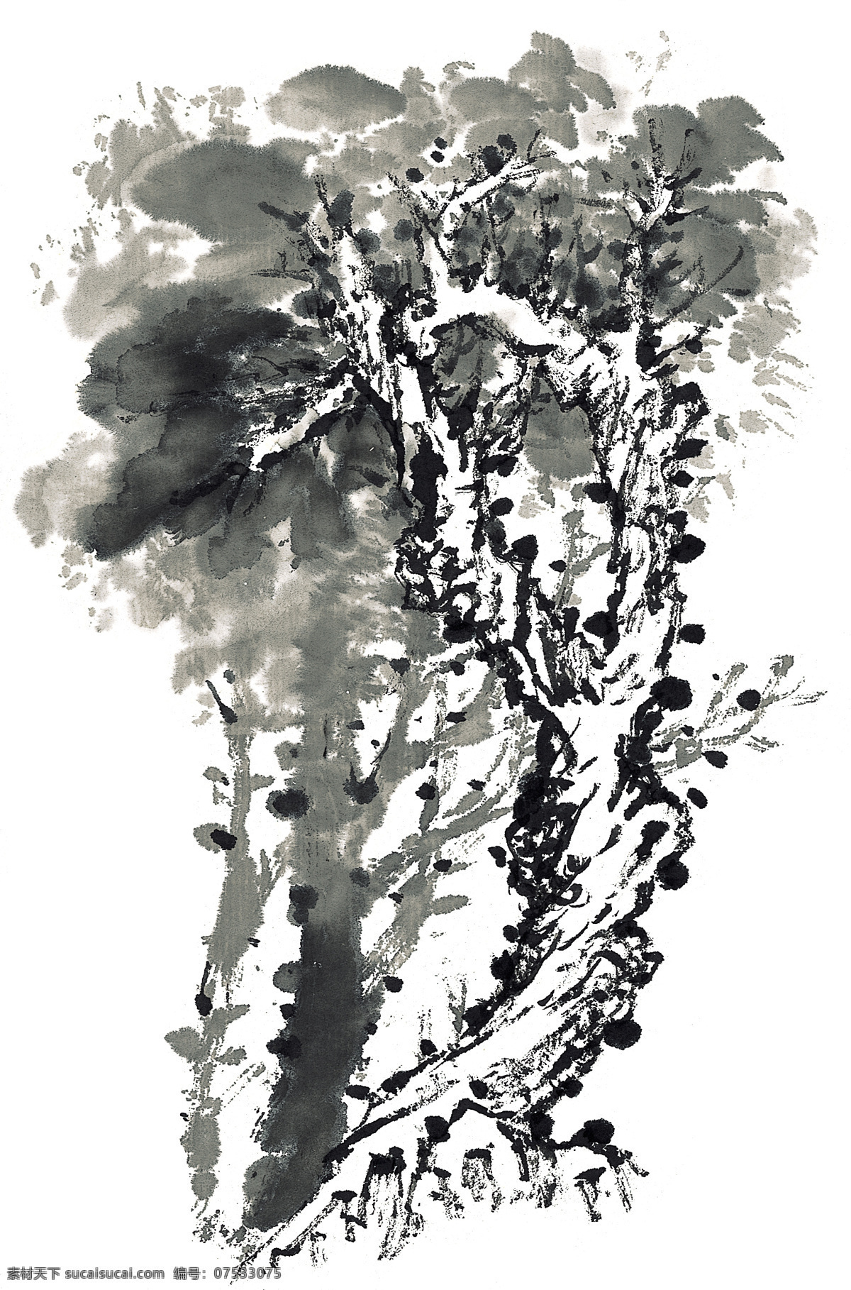 古树 bby 书画 中国画 美术 国画 设计素材 古树奇石 中国画篇 书画美术 白色