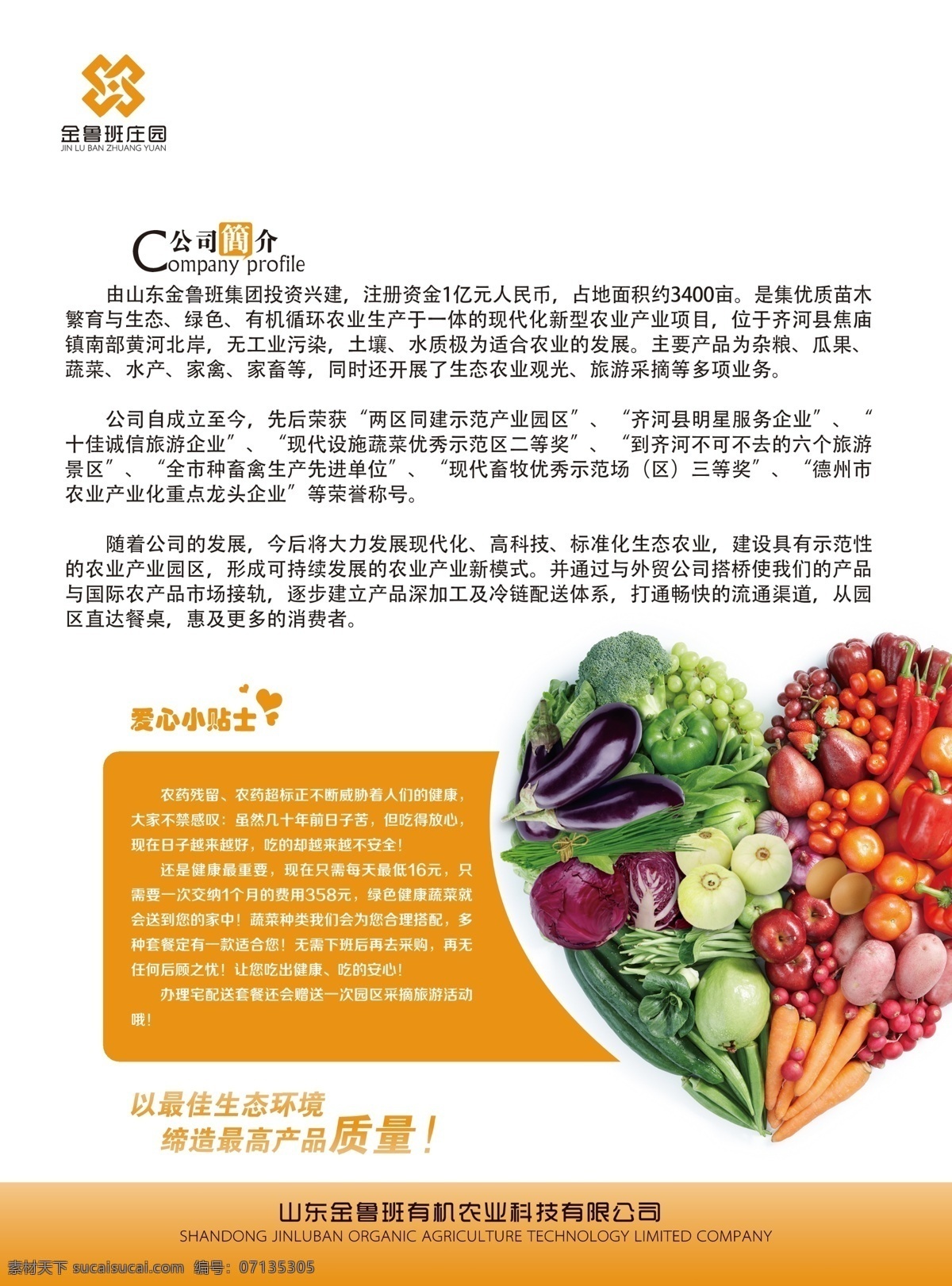 蔬菜单页宣传 农业 蔬菜 宣传