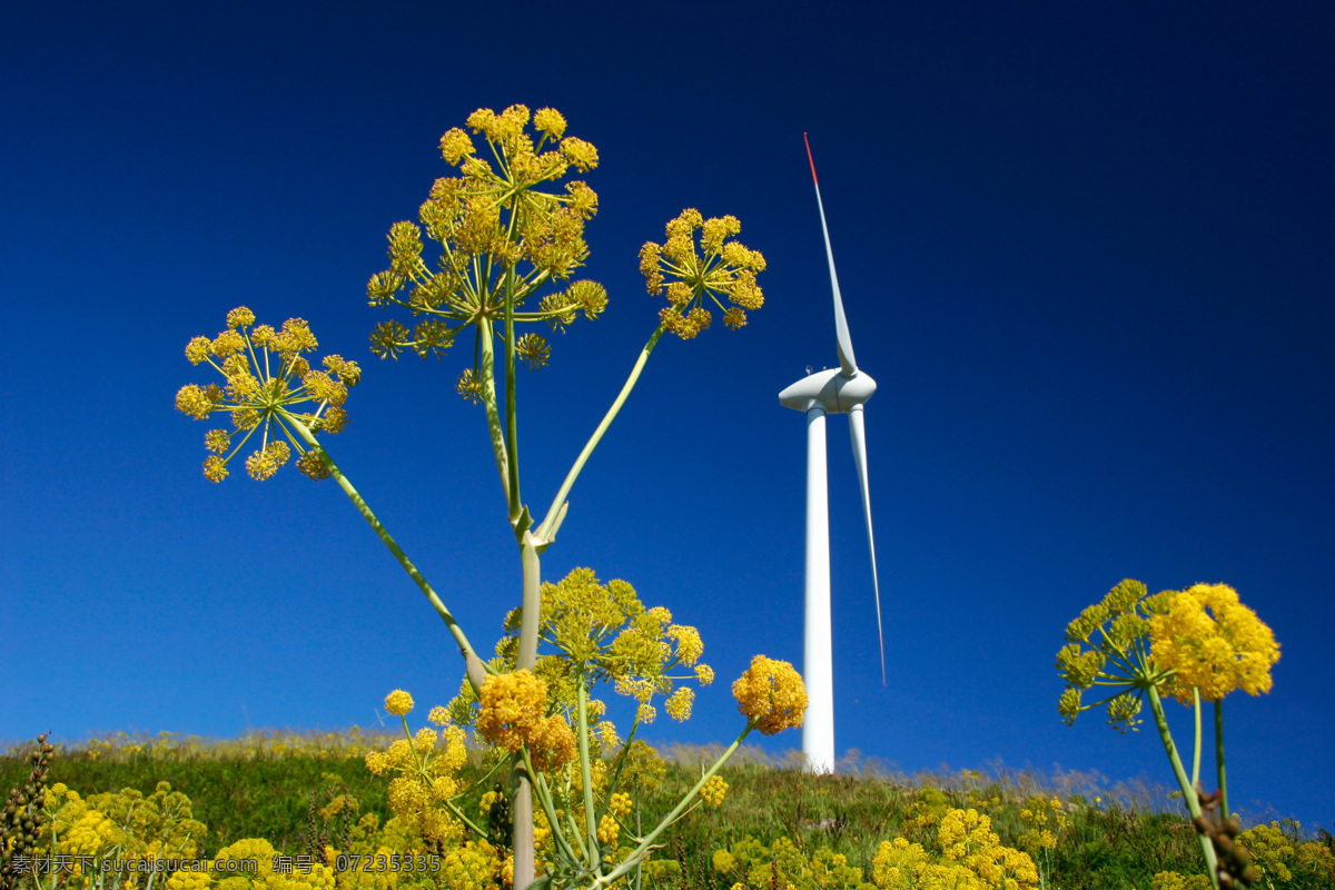风车 电力风车 风力发电 蓝天 油菜花 清洁能源 绿色环保 绿色能源 绿色电力 环保 大风车 工业生产 自然风光 可再生能源 环保能源 现代科技