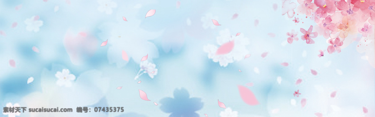 清新 粉色 花朵 背景 banner 粉色花朵 蓝底