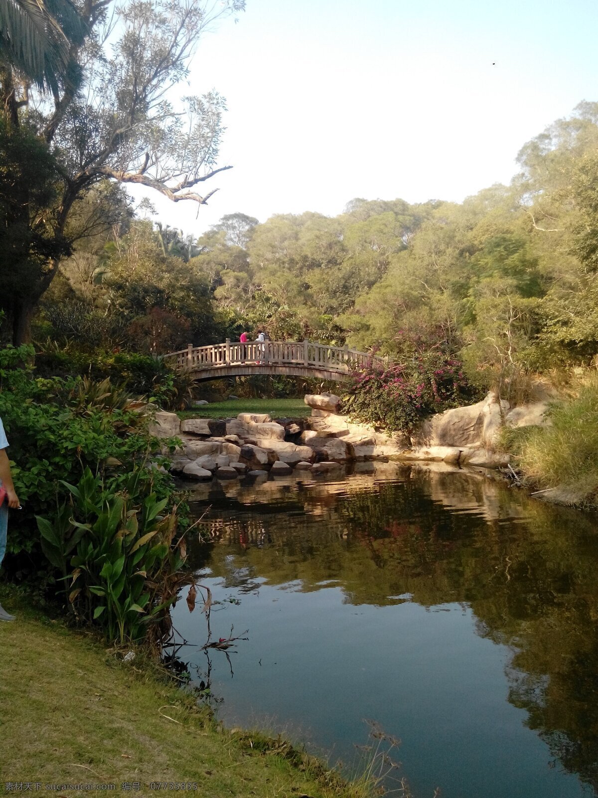 厦门大学景观 野外美景 秋天 厦门大学 情人湖 傍晚 旅游摄影 国内旅游 黑色