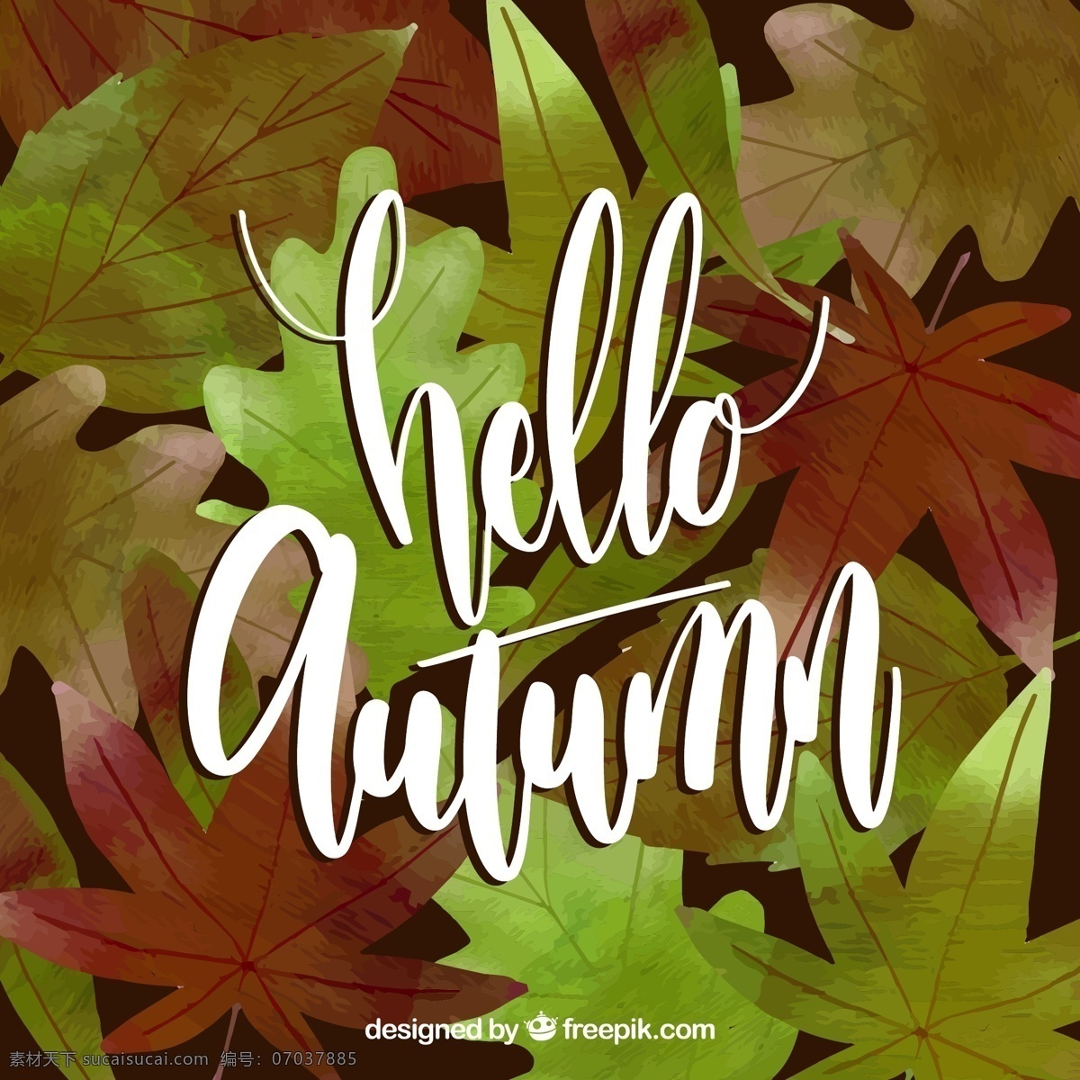 你好 秋天的背景 背景 水彩 水 手 叶 自然 涂料 水彩背景 壁纸 秋天 艺术 色彩 树叶 优雅 墨水 丰富多彩